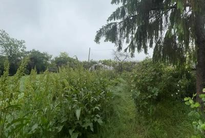 Casă cu 3 camere cu Teren 2000 Mp în Produlești - 8