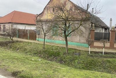 Casă cu Teren 863 Mp în Periam - 1