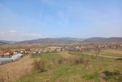 Casă cu 2 camere cu Teren 2900 Mp în Lupoaia - 1