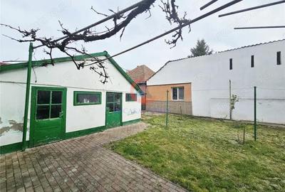 Casa, Sagului, Musicescu - 13