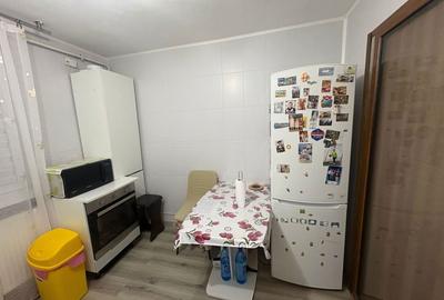 Apartament cu 3 camere semidecomandat în Valea Rosie - 8