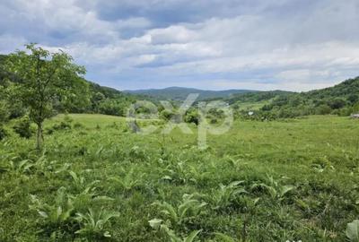 Teren în Mărgineni - 5