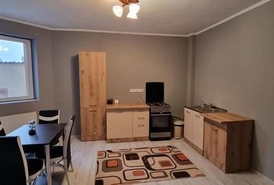 Vila grandioasa | 11 camere | P+1E+M | garaj | Brancoveanu | - 17