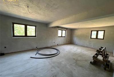 Casa semifinisata V. Ghinzii teren 18 arii - 11