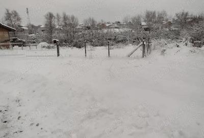 Teren de 1000 mp, în Tăuții de Sus - 4