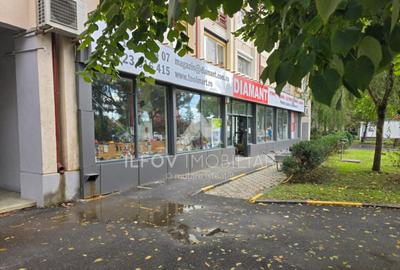 Spatiu Comercial Otopeni la Dn1, trafic pietonal si auto - 3