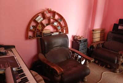 Casa langa Gradina Cismigiu - 2