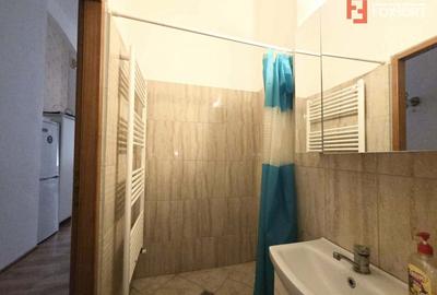 Apartament de inchiriat cu o camera in zona centrala - Arad - 4