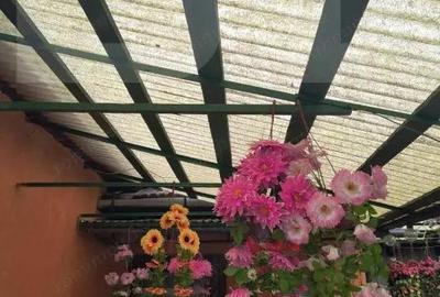 Casă cu 2 camere cu Teren 1628 Mp în Central - 5