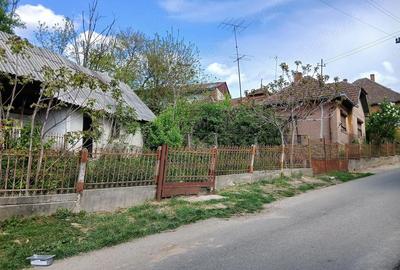 Casă cu 3 camere cu Teren 420 Mp în Central - 3