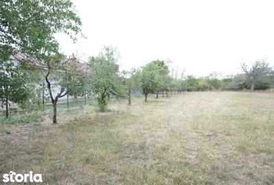 Teren de 1777 mp, în Ariceștii Rahtivani - 6