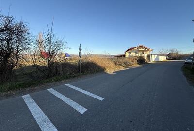 Holt- Letea Veche- teren 1620 mp- stradal 38ml - 3