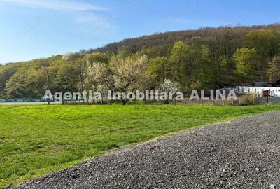 Teren intravilan 6.516 mp in Deva, prelungire str. Vulcan, spre Almas, Jud. Hunedoara. - 3