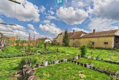 Teren 1300 mp, Beregsau Mare - 4