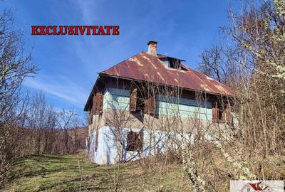 Casă individuală cu 6 camere cu Teren 1043 Mp în Bistra - 1