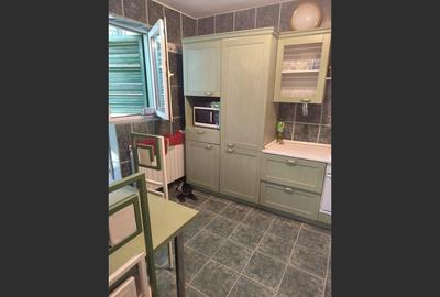 Vila superba 7 camere, Provita de Jos, 22.000 mp teren - 16