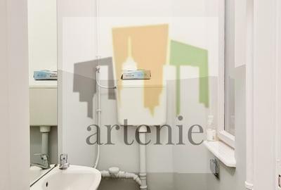 Pache Protopopescu- Plantelor parter in vila - 12