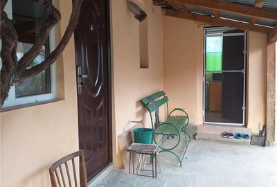Casă cu 3 camere cu Teren 10000 Mp în Gherteniș - 8