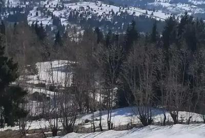 Teren de 3900 mp, în Sud - 3