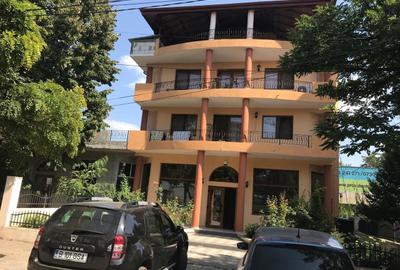 Vila de inchiriat pe nivele sau intreaga! - 3
