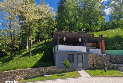 Casă cu 3 camere cu Canalizare în Gura Râului - 1
