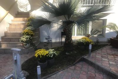 Proprietate ideala pentru locuinta si afacere turistica in Eforie Nord Proprietate ideala pentru locuinta si afacere turistica in Eforie Nord - 20