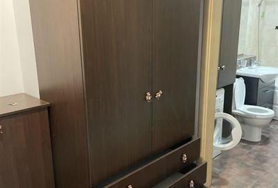 Apartament 1 camera-decomandat-centrala-Torontal - 12