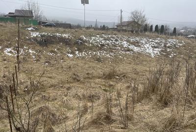 Spațiu comercial, în Central