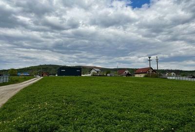 Teren de 6000 mp, în Oituz - 1