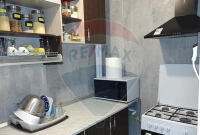 Apartament cu 1 camere de inchiriat in zona Brazda lui ... - 2