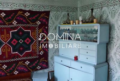 Casă cu 3 camere cu Teren 1583 Mp în Polovragi - 8