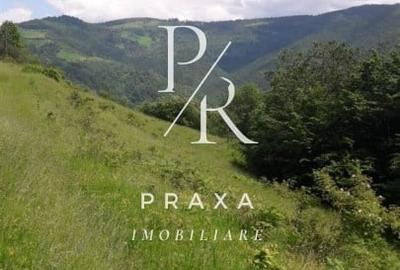 Teren Construcții extravilan de 10000 mp, în Măguri-Răcătău - 7