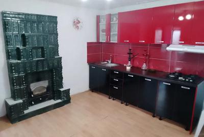 Vand casa cu teren 730 mp in Lucieni - 5