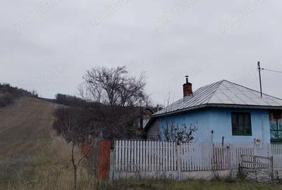 Casă cu 3 camere în Dobrețu - 3