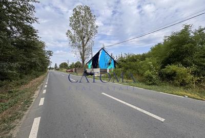 Teren 1.666 mp, construibil, cu acces direct din DN1 – langa padurea Snagov - 3