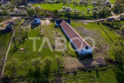 Microferma cu locuinta de vanzare in Pianu de sus - 1