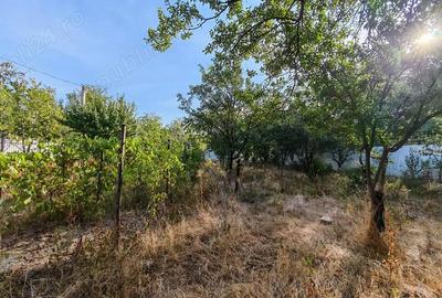Teren de 1030 mp, în Chiroiu-Pământeni - 3