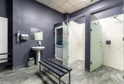 Spațiu comercial, de 420 mp, în Colonia Bod - 9