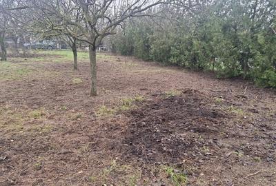 Casă cu 5 camere cu Teren 2800 Mp în Nuci - 3