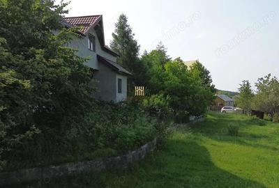 Teren 4800 mp cu Livada si Casa Nefinalizata - Adancata! - 3