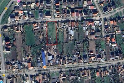 3300 mp  de vânzare in vatra veche Remetea Mare , Timiș - 2