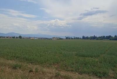 De vanzare terenuri extravilane in Sfantu Gheorghe - 5