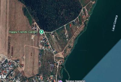 Teren de 1100 mp, în Cernica - 1