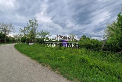 Teren Construcții intravilan de 2948 mp, în Tismana - 7