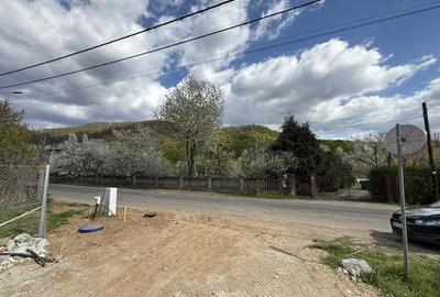 Casă cu Teren 900 Mp în Tăuții-Măgherăuș - 3