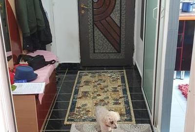 Apartament cu 3 camere decomandat în Buzaului - 10