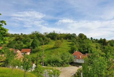 Vind vila in satul ROD- Pe drumul TRANSALPINA - 15