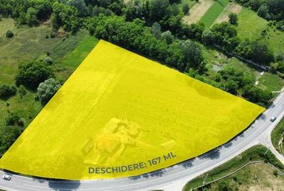 Teren Construcții intravilan de 10176 mp, în Mihăești - 2