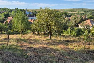 Casă cu 3 camere în Filea de Jos - 4