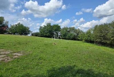 Teren, Albe?ti, str Podului - 3